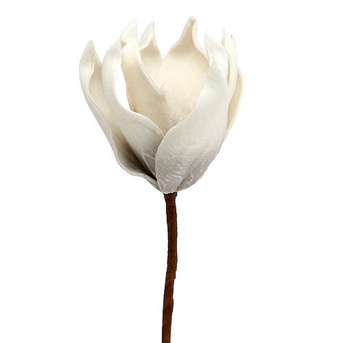 Floristik24 Magnoliablomma i skumgrå, vit Ø10cm L26cm 4st
