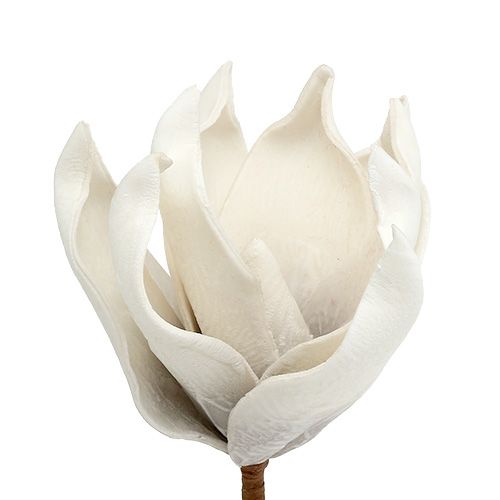Floristik24 Magnoliablomma i skumgrå, vit Ø10cm L26cm 4st
