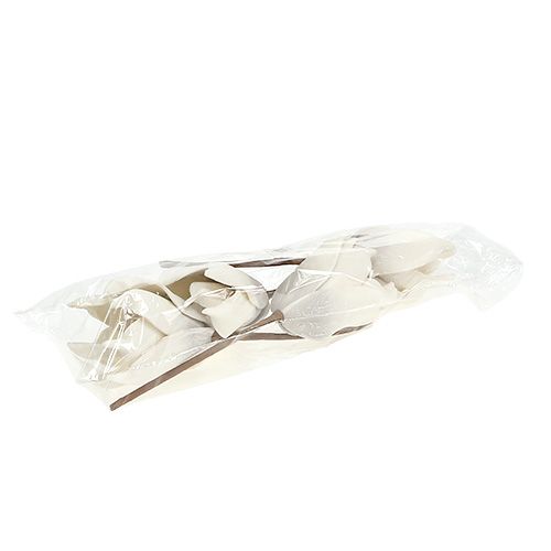 Floristik24 Magnoliablomma i skumgrå, vit Ø10cm L26cm 4st