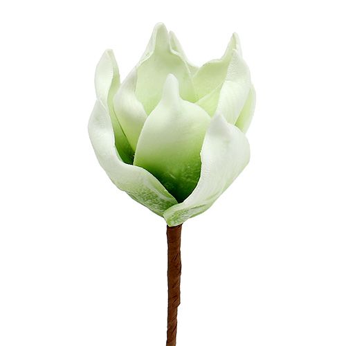 Floristik24 Magnolia blossom gjord av skummaterial vitgrön Ø10cm L26cm 4st