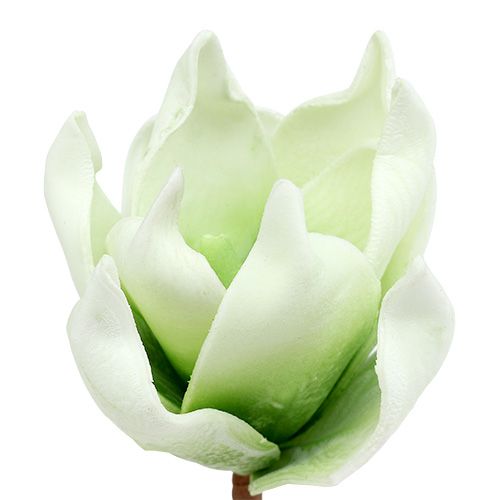 Floristik24 Magnolia blossom gjord av skummaterial vitgrön Ø10cm L26cm 4st