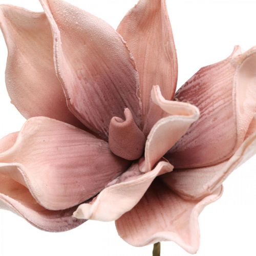 Floristik24 Konstgjord magnolia gammalrosa konstgjord blomma skumblomma Ø10cm 6st