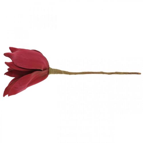 Floristik24 Konstgjord Magnolia Röd Konstgjord Blomma Skum Blomdekoration Ø10cm 6st