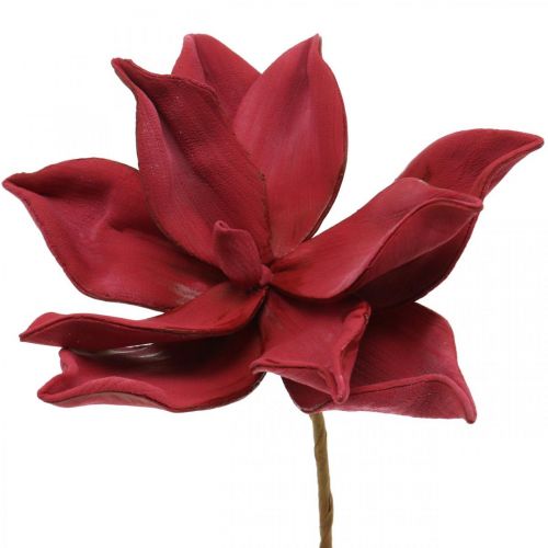 Floristik24 Konstgjord Magnolia Röd Konstgjord Blomma Skum Blomdekoration Ø10cm 6st