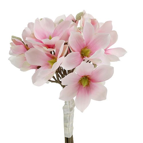 Floristik24 Magnolia bunt rosa 40cm 5st