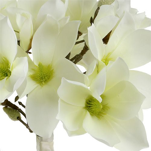 Artikel Magnolia gäng vit 40cm 5st