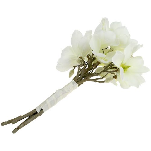 Artikel Magnolia gäng vit 40cm 5 st