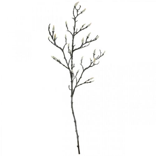 Floristik24 Spring Magnolia Gren Knopp Konstgjord Gren Brun Vit L100cm