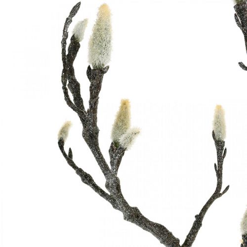 Floristik24 Spring Magnolia Gren Knopp Konstgjord Gren Brun Vit L100cm