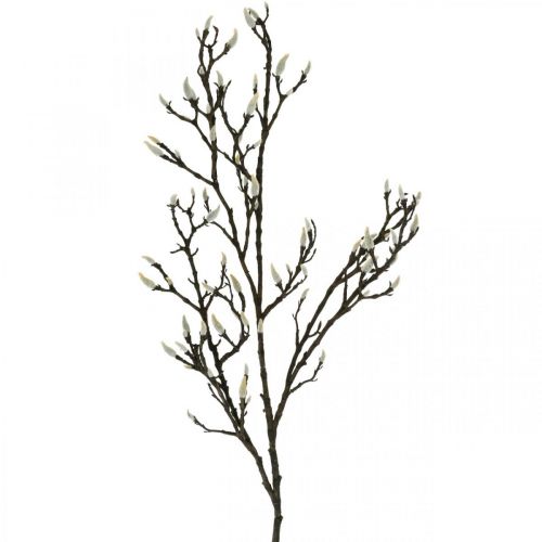 Artikel Artificiell Magnolia-gren Vårdekorationsgren med knoppar Brun Vit L135cm
