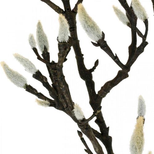 Artikel Artificiell Magnolia-gren Vårdekorationsgren med knoppar Brun Vit L135cm