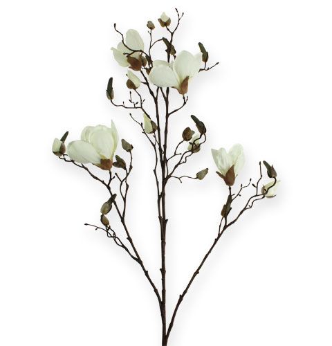 Floristik24 Magnolia gren vit 110cm
