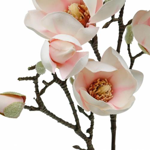 Floristik24 Magnolia Branch Rosa Artificiell Magnolia Silk Blommor