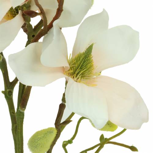 Artikel Magnolia Peach 85cm