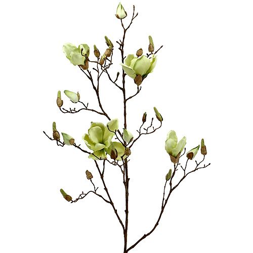 Floristik24 Magnolia gren grön L110cm