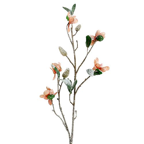 Floristik24 Magnolia gren ljusrosa L 82cm