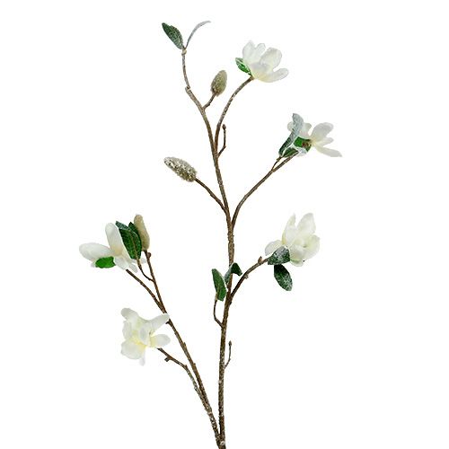 Floristik24 Magnolia gren vit L 82cm med snö