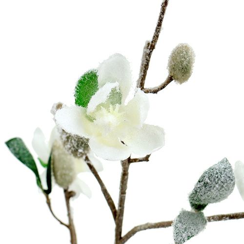 Artikel Magnolia gren vit L 82cm med snö