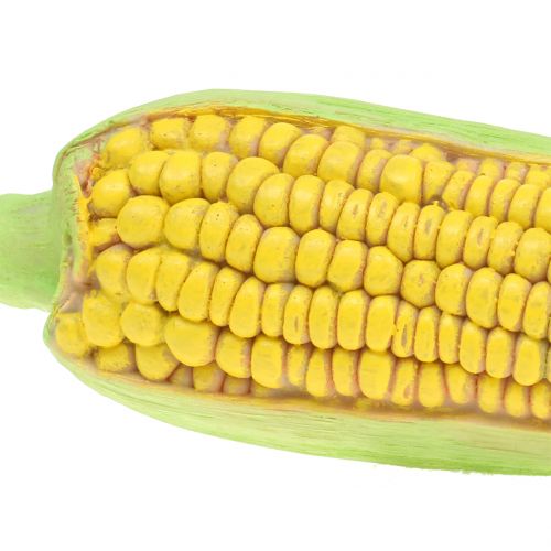 Floristik24 Corn on the cob art grönsaker 20cm