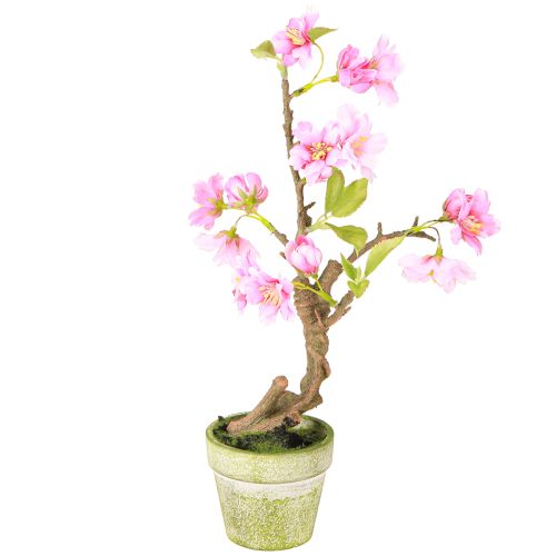 Floristik24 Konstgjord mandel i kruka med rosa blommor H28cm
