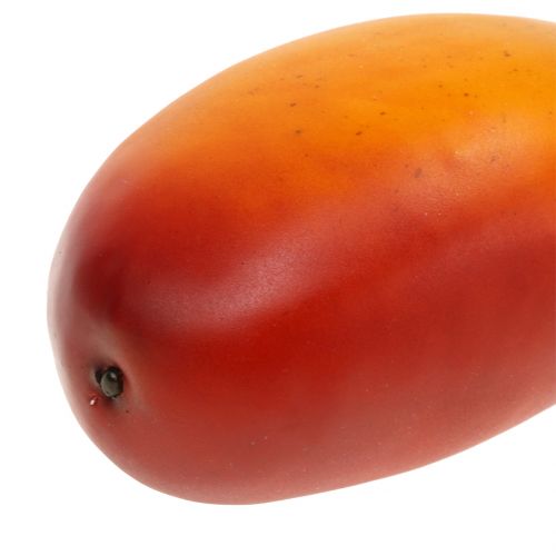 Floristik24 Mango 14cm x 7cm_sv