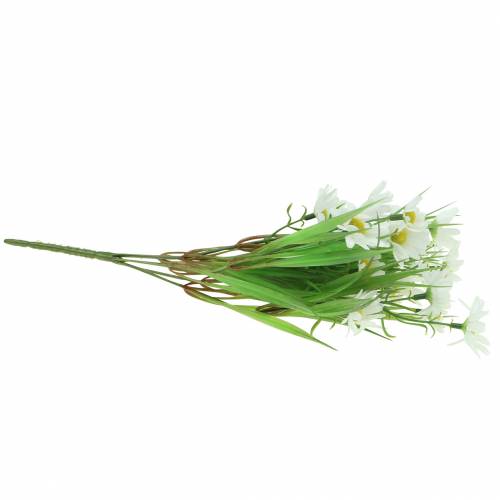 Floristik24 Bukett prästkragar med dekorativt gräs 37cm