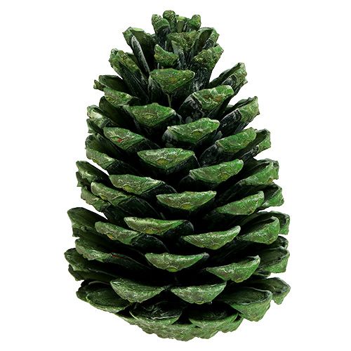 Artikel Maritima kottar 10cm - 16cm grön frostad 12 st