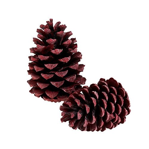 Floristik24 Maritima kottar 10-15cm röd frostade 12 st