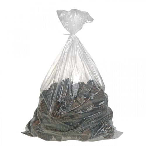 Artikel Maritima kottar, sorgeflorister, adventsdekoration, naturprodukt H12-15cm Ø6,5-10cm 50 st.
