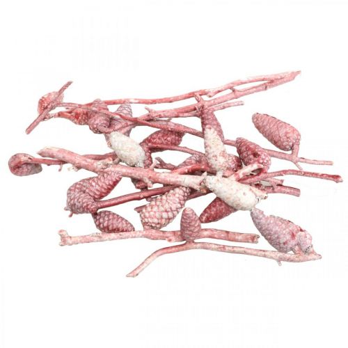 Floristik24 Maritim kon på gren rosa/vit vaxad 400g