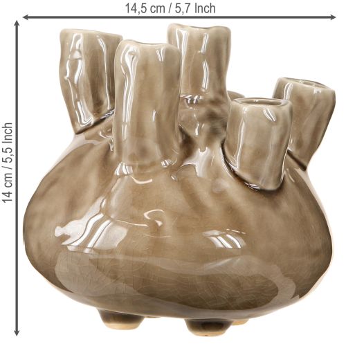 Artikel Maritim Vas Dekoration Korall Design Brun Ø14,5cm H14cm
