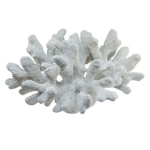 Floristik24 Maritim dekoration korall polyresin vit 38cm × 44cm × 27cm