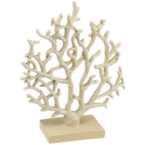 Floristik24 Maritim bordsdekoration korall beige dekorativ korall polyresin H20cm