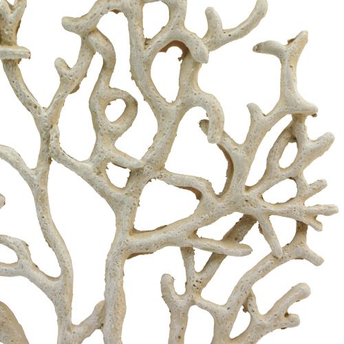 Floristik24 Maritim bordsdekoration korall beige dekorativ korall polyresin H20cm