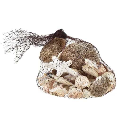 Artikel Maritim bordsdekoration spridd dekoration naturlig dekoration naturvit 400g