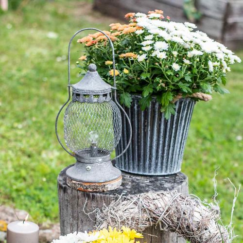 Floristik24 Metall lykta, LED -lampa, Shabby Chic Ø16cm H33,5cm