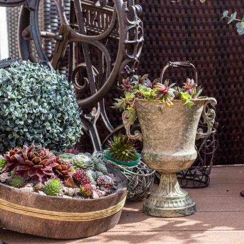 Floristik24 Metallkopp kalkmossa grön beige Ø16cm H24cm