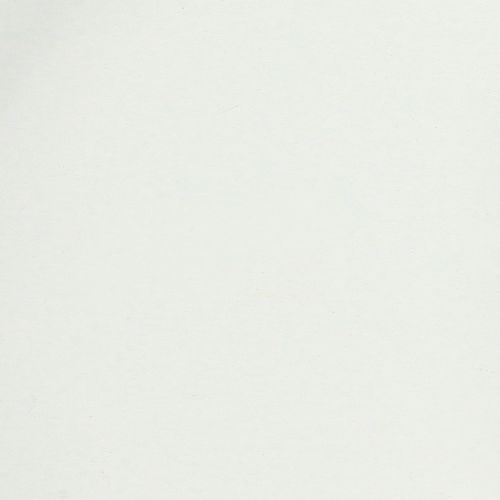 Artikel Bricka med praktiska handtag för mångsidig användning inom hemmet och restaurangbranschen, 22 cm