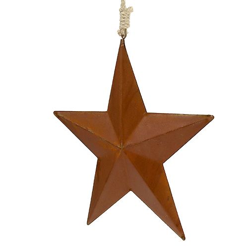 Floristik24 Metallstjärna för hängande rost 21cm