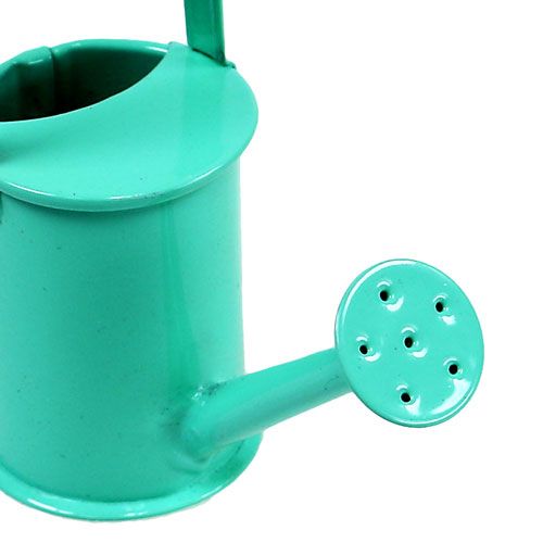 Floristik24 Mini vattning burkar pastell sortiment. Ø4cm 12p