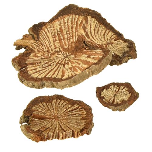 Artikel Mini träskivor betelnötsdekoration med ådring 1-4,5 cm 300 g