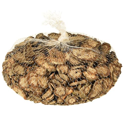 Artikel Mini träskivor betelnötsdekoration med ådring 1-4,5 cm 300 g