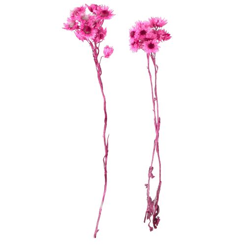 Artikel Mini Halm Blomma Rosa Torkad Blomma Stenblomma H20cm 15g