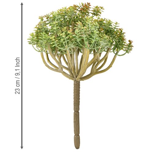 Artikel Mini suckulent konstgjord grön konstväxt med stjälk H23cm