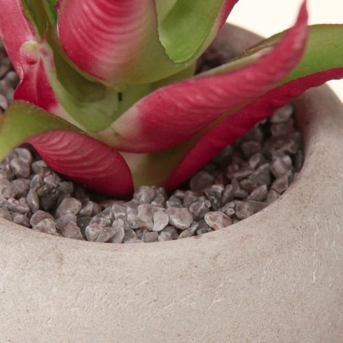 Artikel Minisuckulenter i kruka Konstgjorda växter Dekoration Ø6,5cm 6st