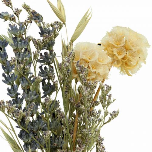 Floristik24 Mini bukett torkade blommor boho, torkade blommor blommor L22cm