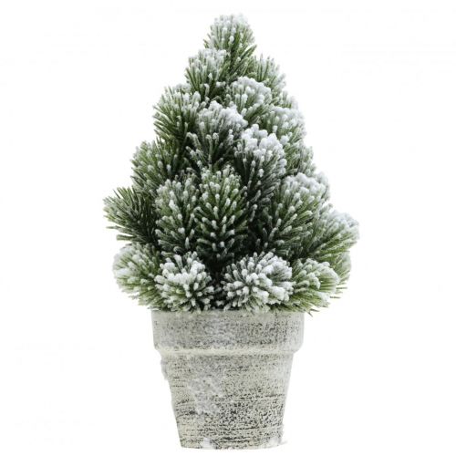 Floristik24 Mini julgran i kruka konstsnöad Ø14cm H24cm