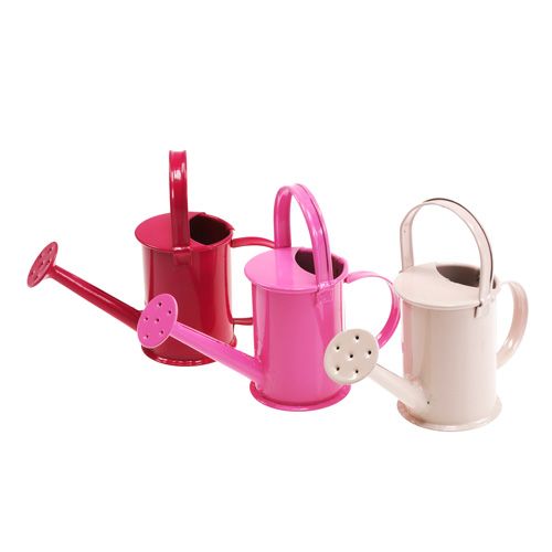 Floristik24 Mini vattenkannor Rosa Rosa Ø4cm 12st