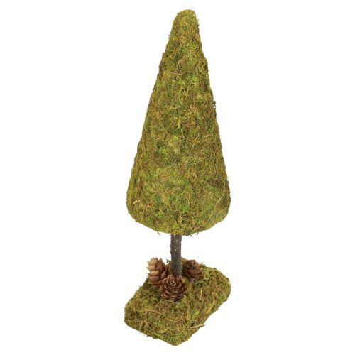 Floristik24 Mini julgran bordsdekoration mossgran H30,5cm