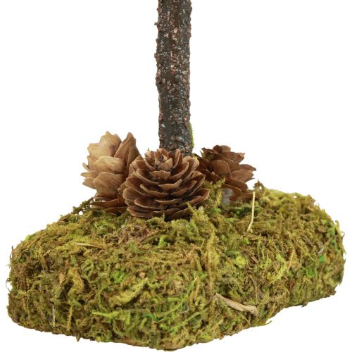 Floristik24 Mini julgran bordsdekoration mossgran H30,5cm